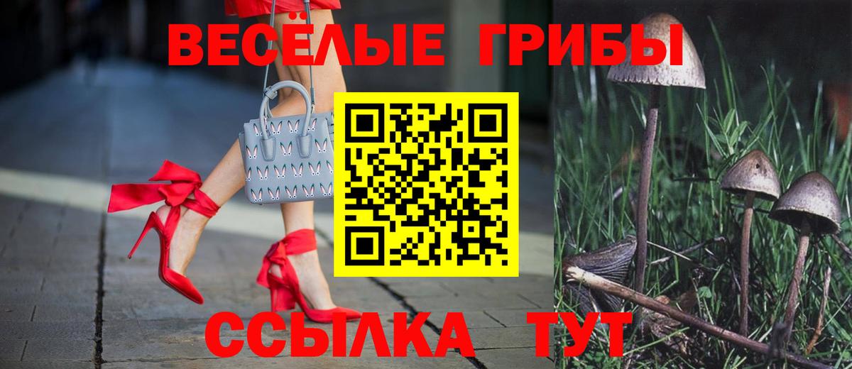 Галлюциногенные грибы Magic Shrooms  Галлюциногенные грибы Magic Shrooms  Дзержинск  Вход с VPN 
